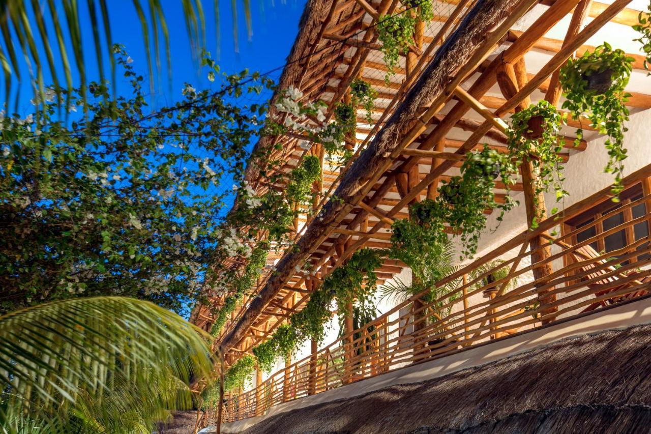 Tropical Suites By Mij Isla Holbox Kültér fotó